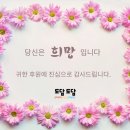 새로운교회에스카페