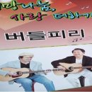 버들피리