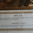 완도 청해진 유적 이미지