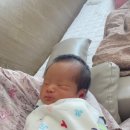 웰하이 산후조리원 이미지