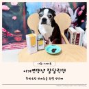 강아지 관절 한방 영양제 이거면댕냥 잘달린댕