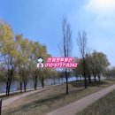 당산빌딩 이미지