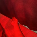 전해오한의원 이미지