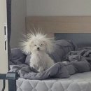 부산대 장전동 미용실 추천 / Hoxy 미용실 유목민이세요? <소예헤어>로 어서오세요 :)
