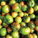 윤택농장 이미지