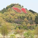 나비축산 이미지