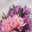 샤론의꽃 이미지