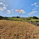 어음2리마을 이미지