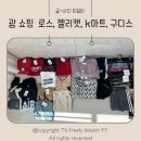 괌 로스 쇼핑 기록 +JP스토어 젤리캣, 구디스, ROSS, K마트,면세점고디바