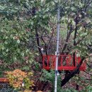 깊은산속민박 이미지