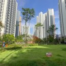 호반1차버스정류장 이미지