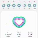 통큰닭집 | 일기 : 11.15~11.16 토요일은 김장하고 일요일은 마라톤 나가고 (올림픽데이런 2025 in 전주 참가후기)