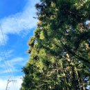 작은 언니네 민박 이미지