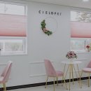 씨엘로펫 이미지