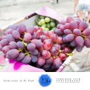 반곡농장 이미지