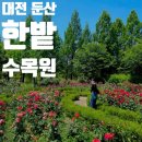 한밭수목원 | 대전 둔산 [ 한밭수목원 ] 장미원 산책 나들이 후기 6.7. 방문