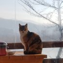 경산펜션민박 이미지