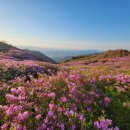 1049차 5월5일 합천 황매산 철쭉 산행 이미지