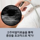 유미안외과 이미지