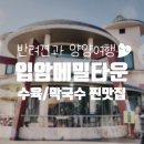 입암메밀타운 | 반려견과양양여행 애견동반△ 입암메밀타운 수육·막국수 찐맛집