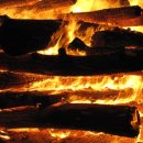 동호의원 이미지