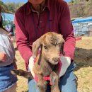 미소 농장 | 경기도 남양주 체험농장 아이들과 함께 가기 좋은 [안데르센 정원] 후기