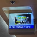 럭키카정비 | 임신 31주차 부산 여행(이재모피자/송도케이블카/오그남/클램하우스/김해통닭)