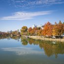 전주의 가을 이미지