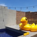 한동리브로콜리 이미지