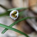 다을새길 이미지