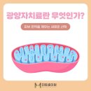 미토셀의원 이미지