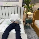 금성가구 - 서구 천변좌로 243 | 양재 까사 가구쇼 2026 서울가구쇼 신혼가구 구경 금성침대 후기