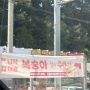 한반도농협 남면지점 | 애견동반숙소 춘천 빌라반우 B동 내돈내산 후기
