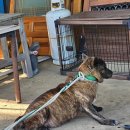 학수농장 이미지