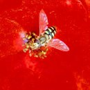 무학부동산 공인중개사사무소 이미지