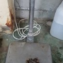 동해참전복 이미지