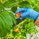 재인농장 이미지