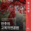 고복자연공원 수변 길 | 고복자연공원 데크둘레길 걸으며 가을을 떠나보내다(이송희 기자)