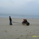 아름다운세상 이미지