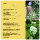 [김형신] 깎고 뽂고 이미지