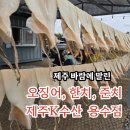 용수 | 제주 한치와 오징어를 만난 용수리쉼터 제주 K수산 용수점
