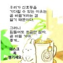 도리도리 이미지