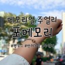 우리집 똥강아지 | 서울 원데이 클래스, 포메모리 공방 반려동물 주얼리 팔찌 후기