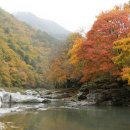 연지어린이공원 인근 이미지