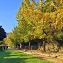 독립기념관 이미지