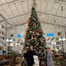 강원도 횡성군 횡성읍 태기로 | 강원도 횡성 카페 커피숍 노랑공장 내돈내산 후기