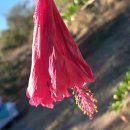 강변 뒷뜰 이미지