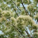 배산주유소 이미지