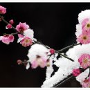 시인의마음 이미지