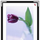 하얀피부 이미지